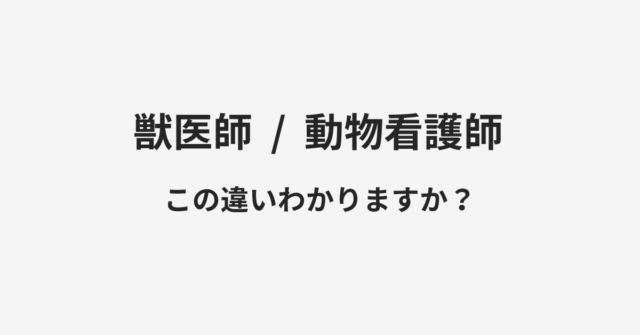 【獣医師】と【動物看護師】の違いとは？例文付きで使い方や意味をわかりやすく解説