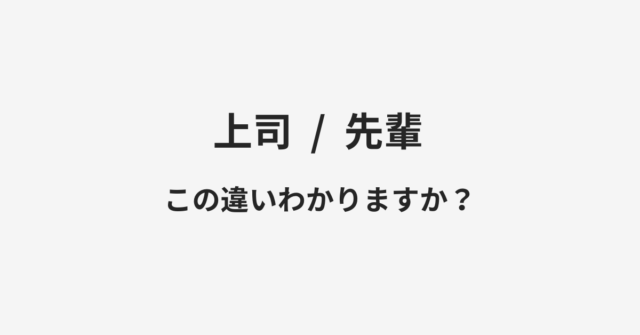 上司と先輩の違い